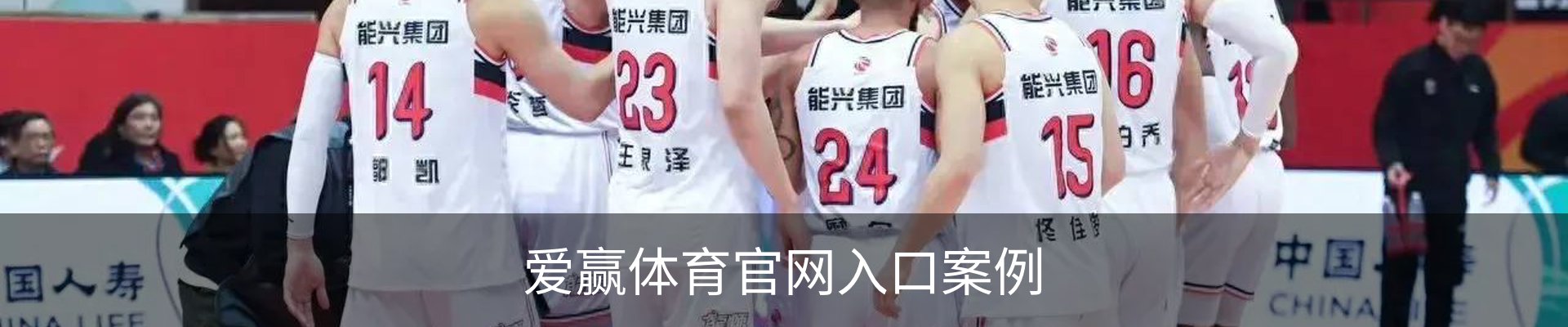 爱赢体育官网入口案例
